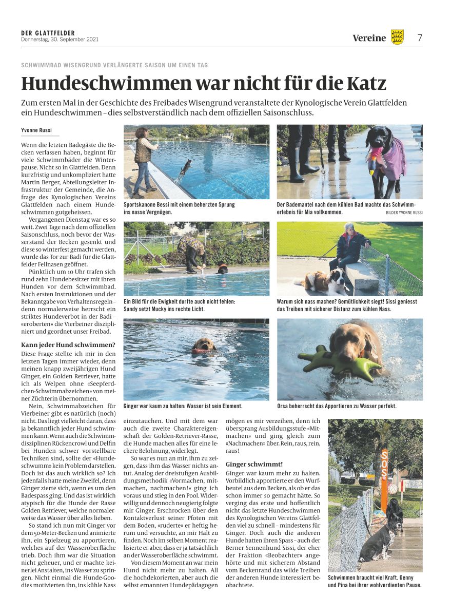 Hundeschwimmen 2021