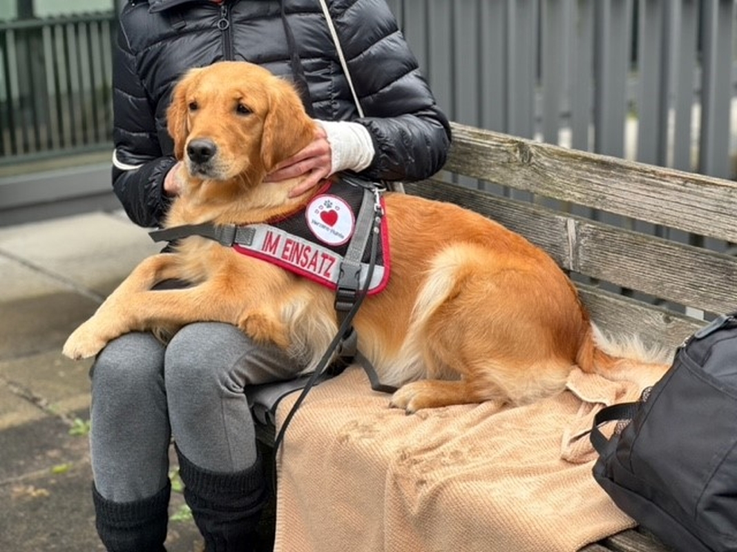 Herzens-Hund Nayla ("Turbo-Maus") im Einsatz