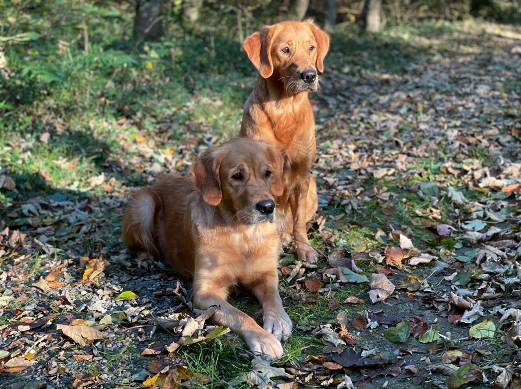 Fly und Hope am 24. Oktober 2021