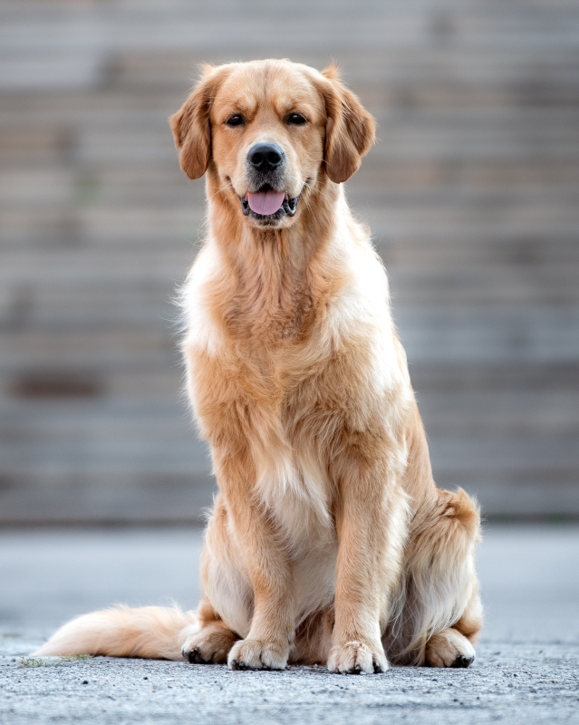 Could be Love vom Thunhaus