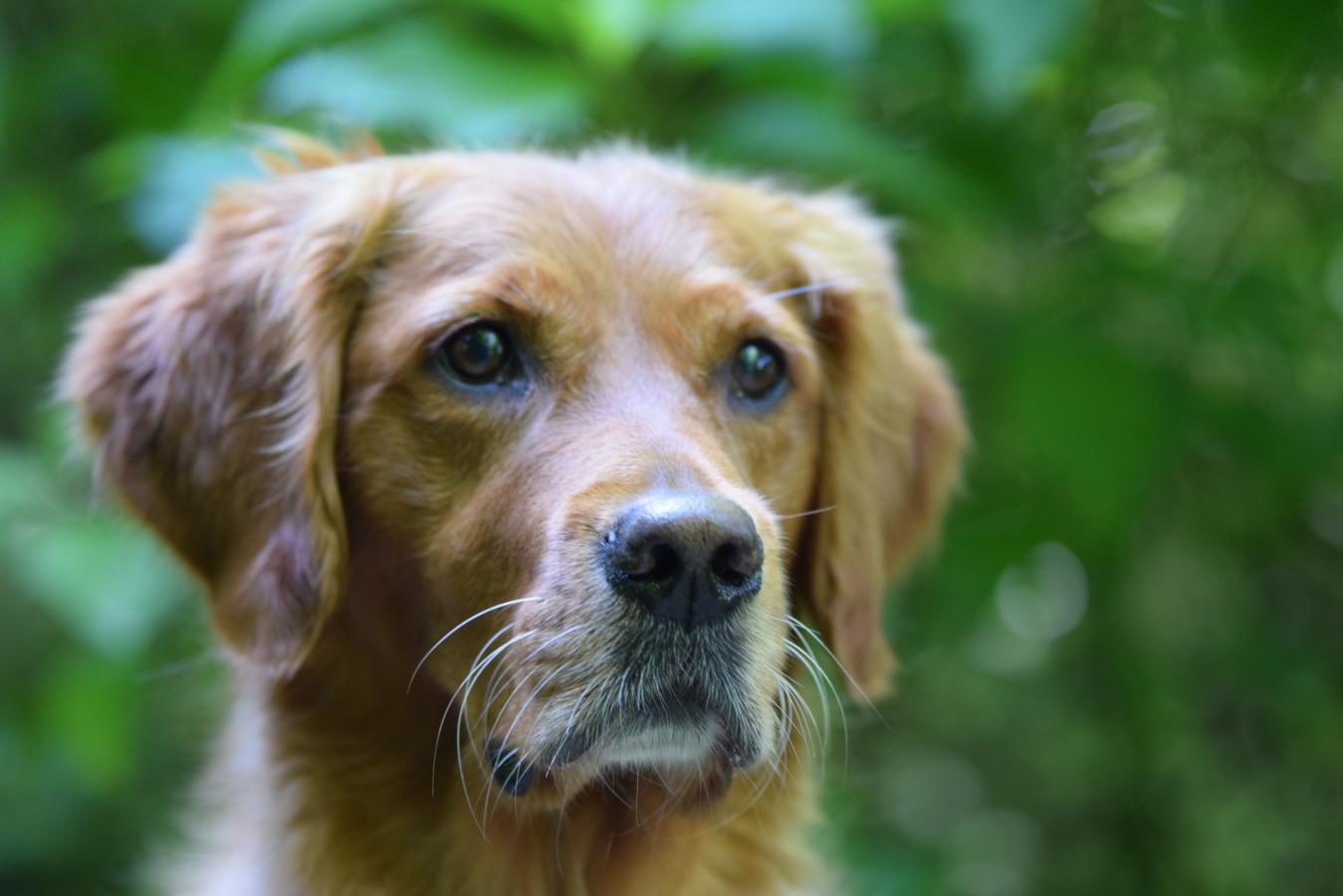 Ajka Secrets of Whirlwind