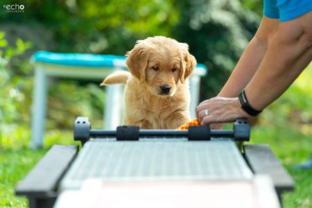 Fion (m) am 29.09.2018