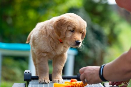 Fion (m) am 29.09.2018