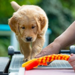 Fion (m) am 29.09.2018