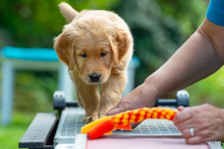 Fion (m) am 29.09.2018