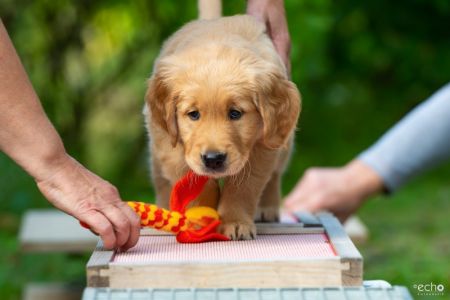 Fion (m) am 29.09.2018