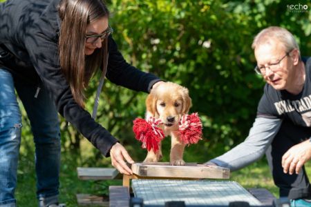 Juri (Flash, m) am 29.09.2018