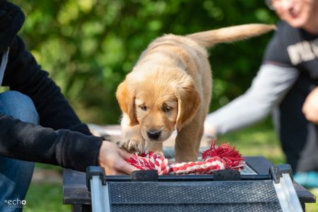 Juri (Flash, m) am 29.09.2018