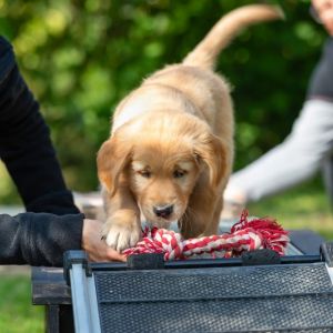 Juri (Flash, m) am 29.09.2018