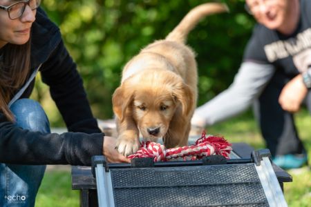 Juri (Flash, m) am 29.09.2018