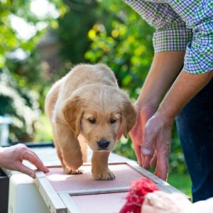 Cisco (Francisco, m) am 29.09.2018