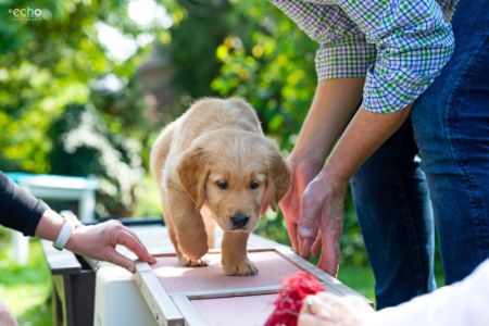 Cisco (Francisco, m) am 29.09.2018