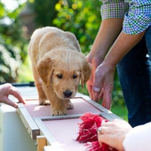 Cisco (Francisco, m) am 29.09.2018