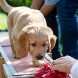 Cisco (Francisco, m) am 29.09.2018