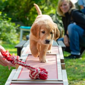 Fly (w) am 29.09.2018