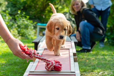 Fly (w) am 29.09.2018