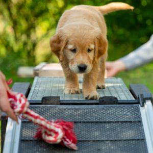 Fly (w) am 29.09.2018