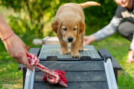 Fly (w) am 29.09.2018