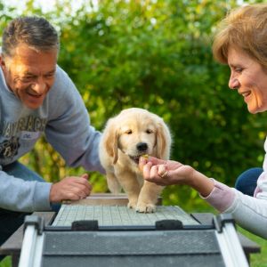 Satchmo (Francis, m) am 29.09.2018