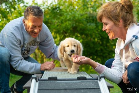 Satchmo (Francis, m) am 29.09.2018