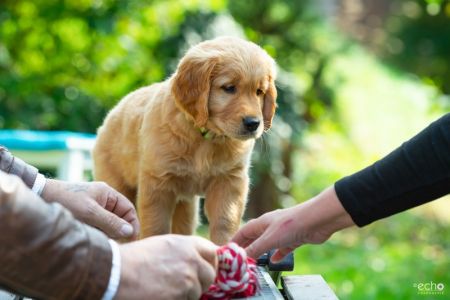 Fynn (m) am 29.09.2018