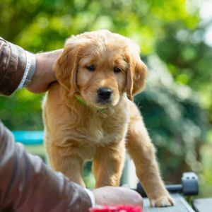 Fynn (m) am 29.09.2018