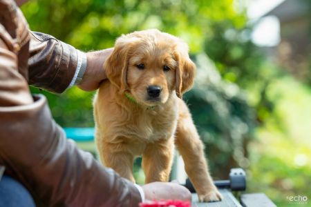 Fynn (m) am 29.09.2018