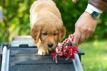 Fynn (m) am 29.09.2018