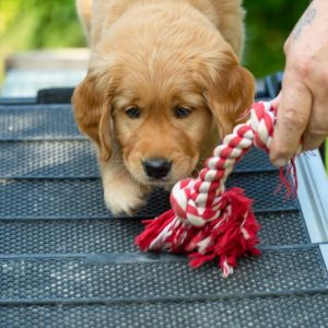 Fynn (m) am 29.09.2018