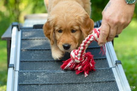 Fynn (m) am 29.09.2018