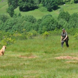 Fly am 01.08.2019 beim Dummytraining im Bregenzerwald