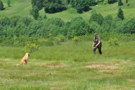 Fly am 01.08.2019 beim Dummytraining im Bregenzerwald