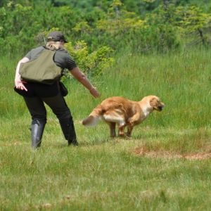 Fly am 01.08.2019 beim Dummytraining im Bregenzerwald