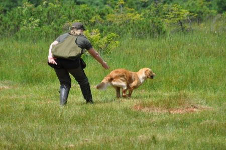 Fly am 01.08.2019 beim Dummytraining im Bregenzerwald