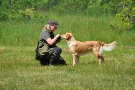 Fly am 01.08.2019 beim Dummytraining im Bregenzerwald