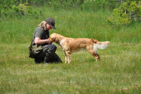 Fly am 01.08.2019 beim Dummytraining im Bregenzerwald