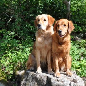 Fly und Aileen am 01.08.2019 im Bregenzerwald