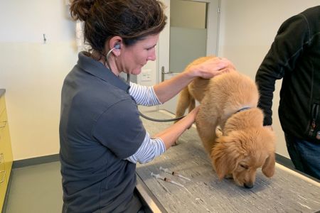Am 14.02.2020 bei der Tier&auml;rztin in der Klinik Aarau West.
