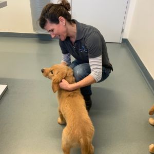 Marley und Nala am 14.02.2020 bei der Tier&auml;rztin in der Klinik Aarau West.