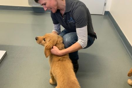 Marley und Nala am 14.02.2020 bei der Tier&auml;rztin in der Klinik Aarau West.