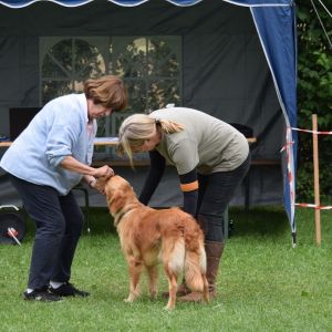 Mit Fly am Wesens- und Anlagetest des RCS in Frauenfeld&nbsp;am 06.09.2020
