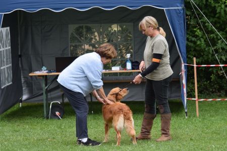 Mit Fly am Wesens- und Anlagetest des RCS in Frauenfeld&nbsp;am 06.09.2020