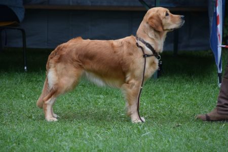 Fly am Wesens- und Anlagetest des RCS in Frauenfeld&nbsp;am 06.09.2020