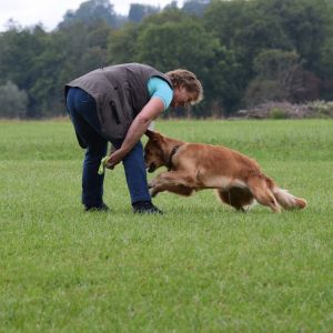 Fly am Wesens- und Anlagetest des RCS in Frauenfeld&nbsp;am 06.09.2020