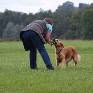 Fly am Wesens- und Anlagetest des RCS in Frauenfeld&nbsp;am 06.09.2020