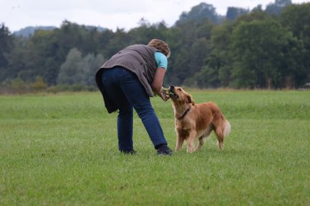 Fly am Wesens- und Anlagetest des RCS in Frauenfeld&nbsp;am 06.09.2020