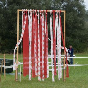 Mit Fly am Wesens- und Anlagetest des RCS in Frauenfeld am 06.09.2020