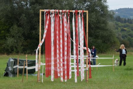 Mit Fly am Wesens- und Anlagetest des RCS in Frauenfeld am 06.09.2020