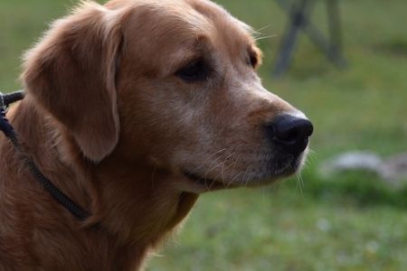 Aileen&nbsp;in Bivio - September 2020