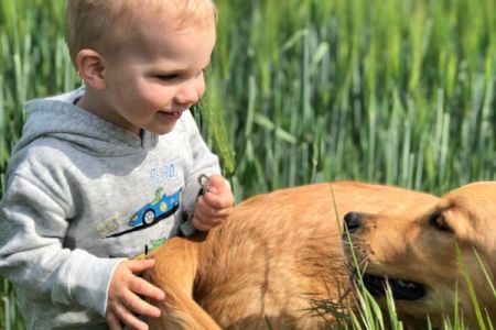 Marley (Gadi, m) im April 2020